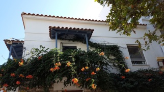 Blumen eines Balkons